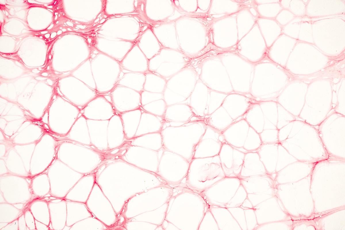 Action sur les tissus - photobiomodulation